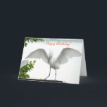 Bird Happy Birthday Sister Grußkarte Karte<br><div class="desc">Dieses "Foto" ist urheberrechtlich geschützt von mir, Christina Spiegeland. Dieses Foto ist NICHT auf Amazon zu verkaufen. Grußkarte mit der Phrase "Happy Birthday!, mit einem Foto eines weißen Egret Bird, der ihre Flügel streckt". Im Inneren der Karte steht "Glücklich Geburtstag! An die Bestste Schwester der Welt!" Copyright 2015-2016, von Christina...</div>