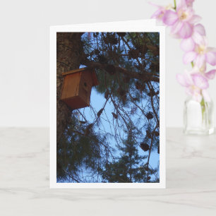 Bird House in Pine Tree Portrait Karte
