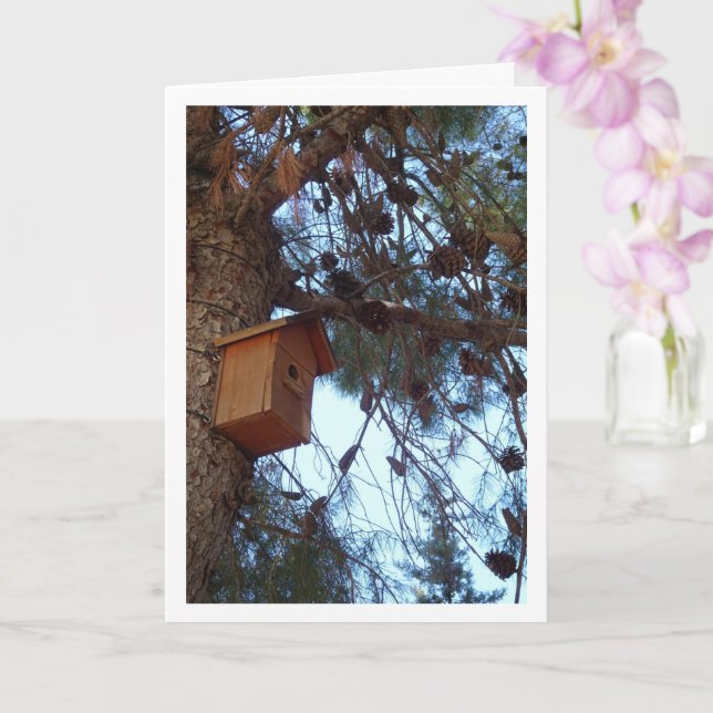 Bird House in Pine Tree Portrait Karte (Orchidee)