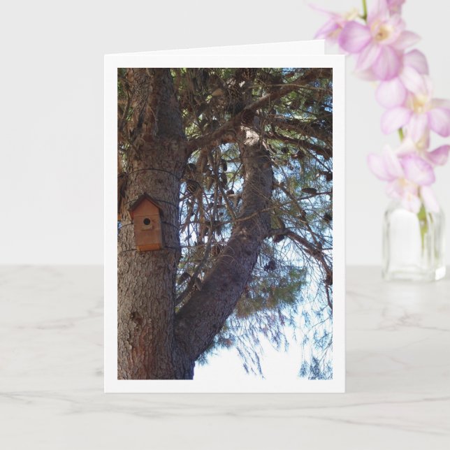Bird House in Pine Tree Portrait Karte (Orchidee)