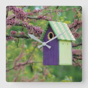Bird House On A Redbud Tree Quadratische Wanduhr