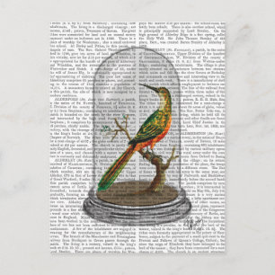 Bird in Bell Jar Postkarte