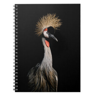 BIRD IN BRASILIEN NOTIZBLOCK