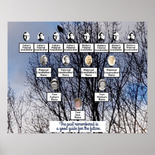 Bird in Winter Tree Foto Family Tree Poster