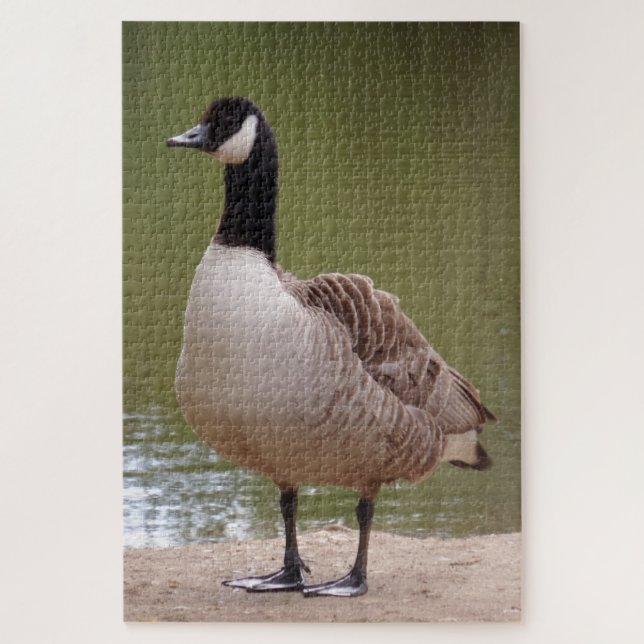 Bird Jigsaw Puzzle (Vertikal)