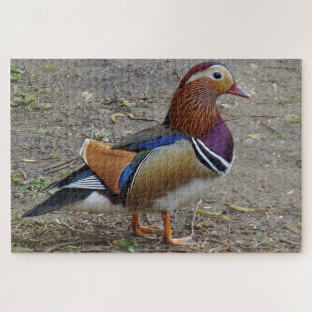 Bird Jigsaw Puzzle (Horizontal)