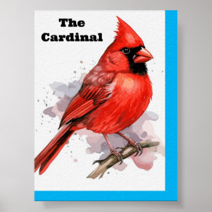 Bird Kardinal Poster