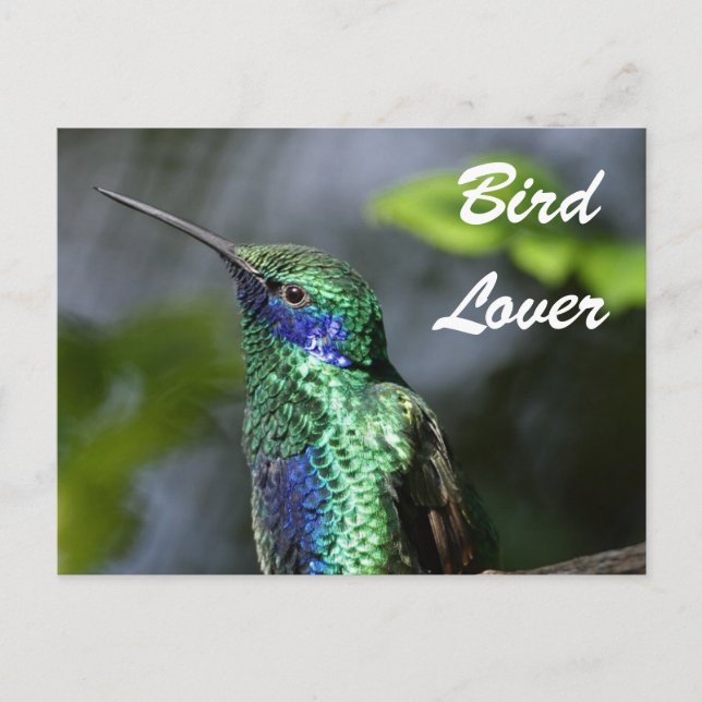 Bird Lover Postkarte (Vorderseite)