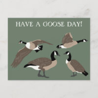 Bird Lovers Canada Gese Illustration Custom