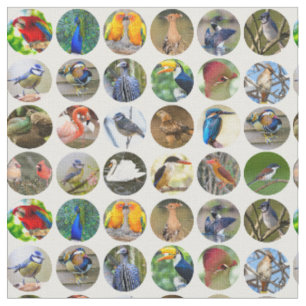 Bird Lovers Fabric Stoff