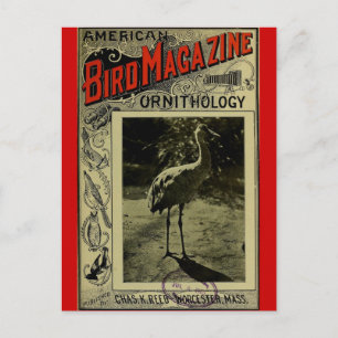 Bird Magazine 3.1903 Postkarte