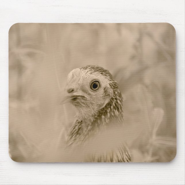 Bird Mousepad (Vorne)
