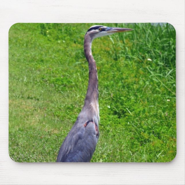 Bird Mousepad (Vorne)