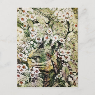 BIRD NEST, BAUM MIT BLUMEN IN WEISSEN BROWNEN POSTKARTE