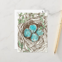 Bird Nest Blue Robin Eggs Spring Ink Zeichnend