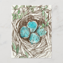 Bird Nest Blue Robin Eggs Spring Ink Zeichnend Postkarte