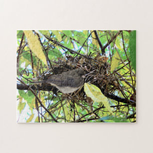 Bird Nest Foto Puzzle