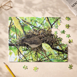 Bird Nest Foto Puzzle