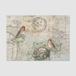 Bird Nest Map Music Französische Postkarte Vintage Seidenpapier
