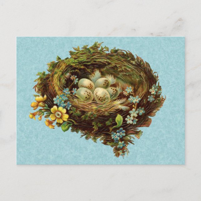 BIRD NEST MIT EIERN VINTAG POSTKARTE (Vorderseite)