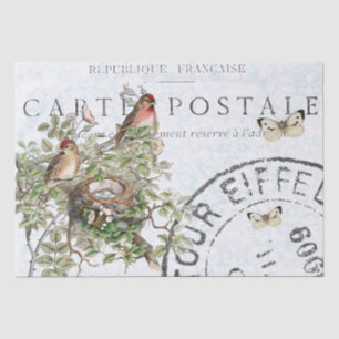 Bird Nest Postmark Butterfly Carte Postale Blue Seidenpapier