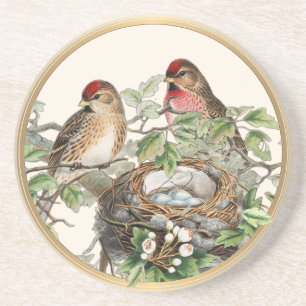 Bird Nest Redpoll Spring Nature Vintager Goldrahme Getränkeuntersetzer