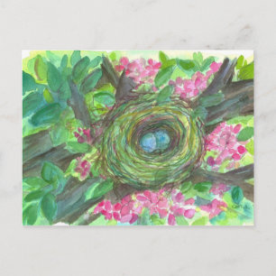 Bird Nest Robin Eggs Pink Blume Tree Postkarte