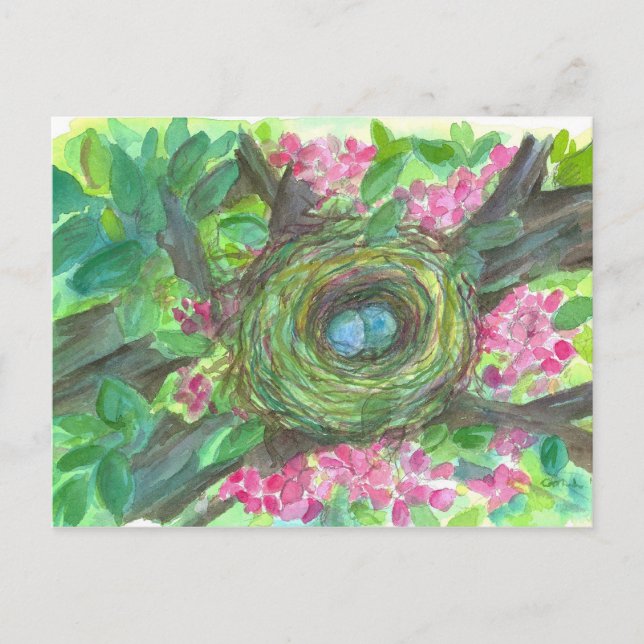 Bird Nest Robin Eggs Pink Blume Tree Postkarte (Vorderseite)