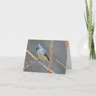 Bird Notecard Feiertagskarte