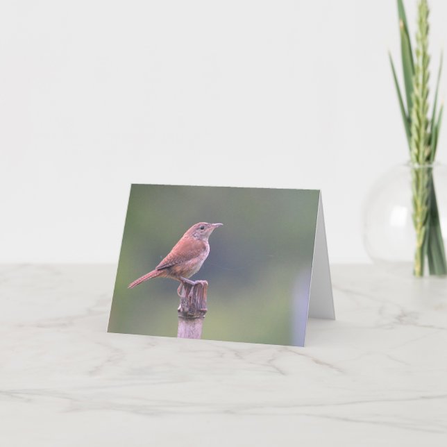 Bird Notecard Karte (Vorderseite)