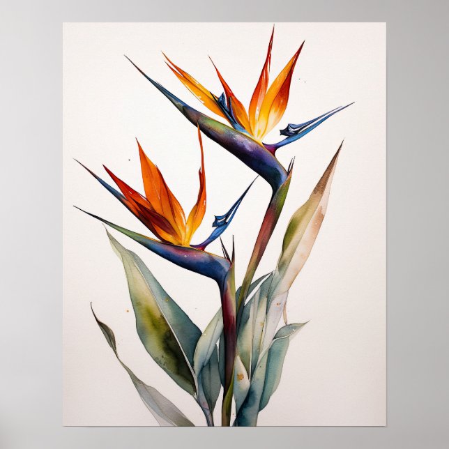 Bird of Paradise Art Print Poster (Vorne)