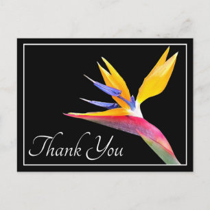 Bird of Paradise Black Background Vielen Dank Postkarte