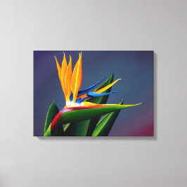 Bird of Paradise Canvas Print Leinwanddruck