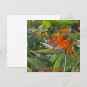 Bird of Paradise Oil Painting Mitteilungskarte