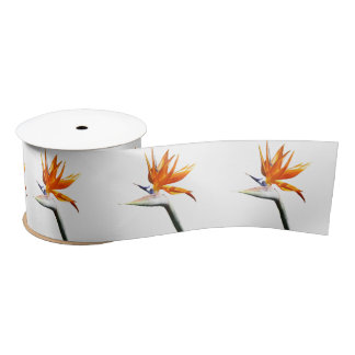 Bird of Paradise Orange Tropical Flower Satinband