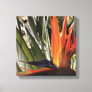 Bird of Paradise Strelitzia Reginae Acrylic Painti Leinwanddruck