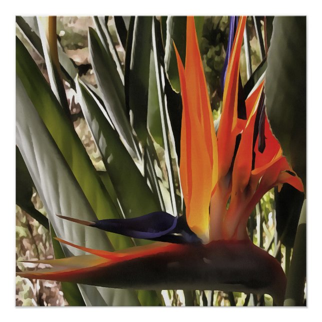 Bird of Paradise Strelitzia Reginae Acrylic Painti Poster (Vorderseite)