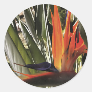 Bird of Paradise Strelitzia Reginae Acrylic Painti Runder Aufkleber