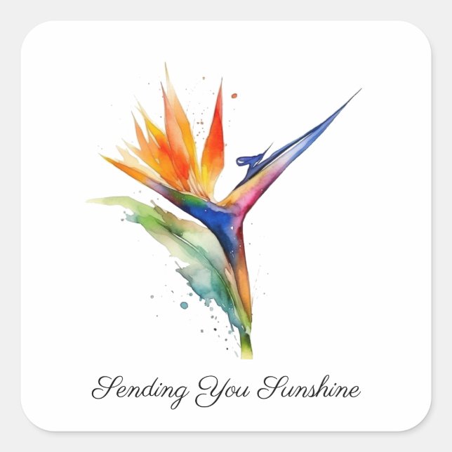 Bird of Paradise Watercolor, custom Quadratischer Aufkleber (Vorderseite)