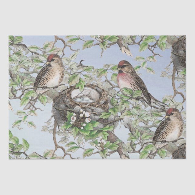 Bird on Nest Blue Sky Trees Blätter Decoupage Craf Seidenpapier (Vorderseite)