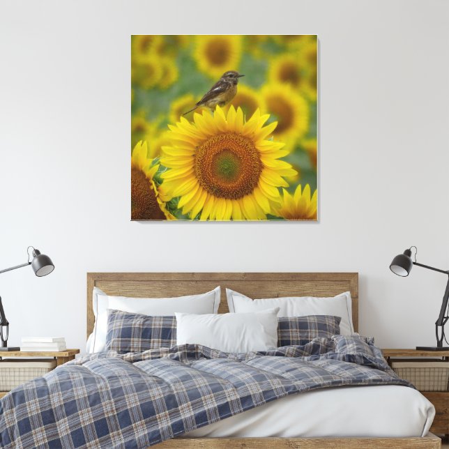 Bird on Sunflower - Naturefotografie Print Leinwanddruck (Insitu (Schlafzimmer))