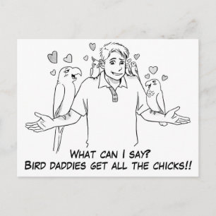 Bird Papys holen alle Küken Postkarte