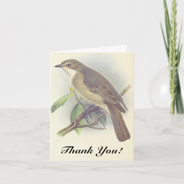 Bird Perched auf einem Baumzweig, "Danke!" Karte (Vorderseite)