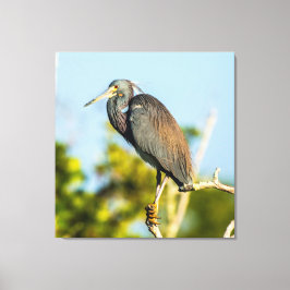 Bird Perfect 35.70 x 37 gesteppte Canvas Print Leinwanddruck