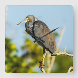 Bird Perfect Acrylic Wall Clock Quadratische Wanduhr