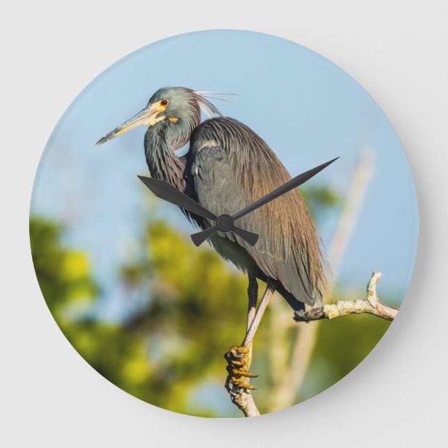 Bird Perfect Acrylic Wall Clock, rund (groß) Große Wanduhr (Vorderseite)