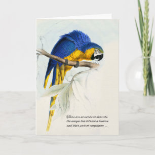 Bird Pet Beileid Blue und Gold Macaw Parrot Karte