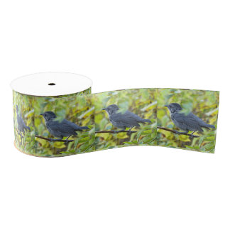Bird Photo Ribbon Ripsband
