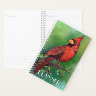 Bird Plane von Northern Red Kardinal Planer