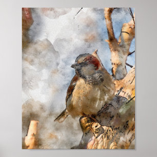 Bird Poster